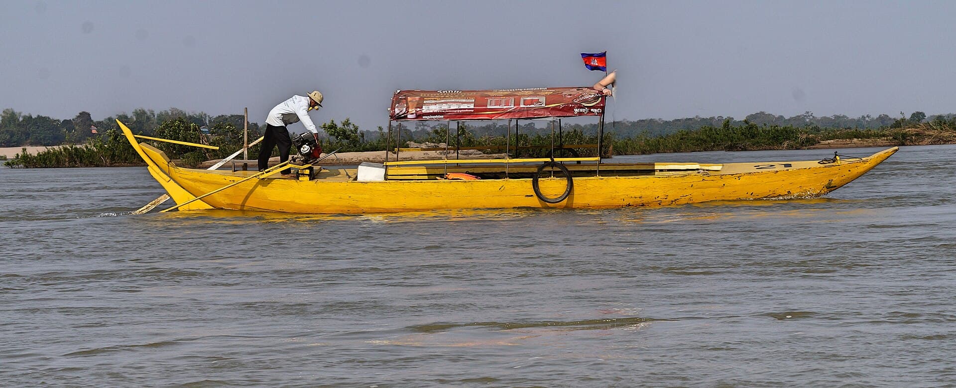 Irrawaddy dolphins in the Mekong