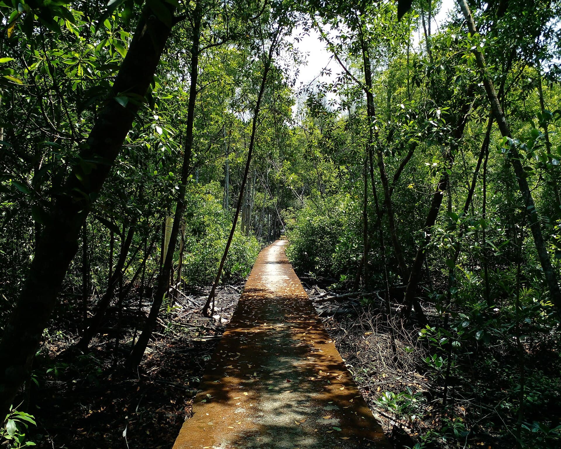 Kuala Selangor Nature Park