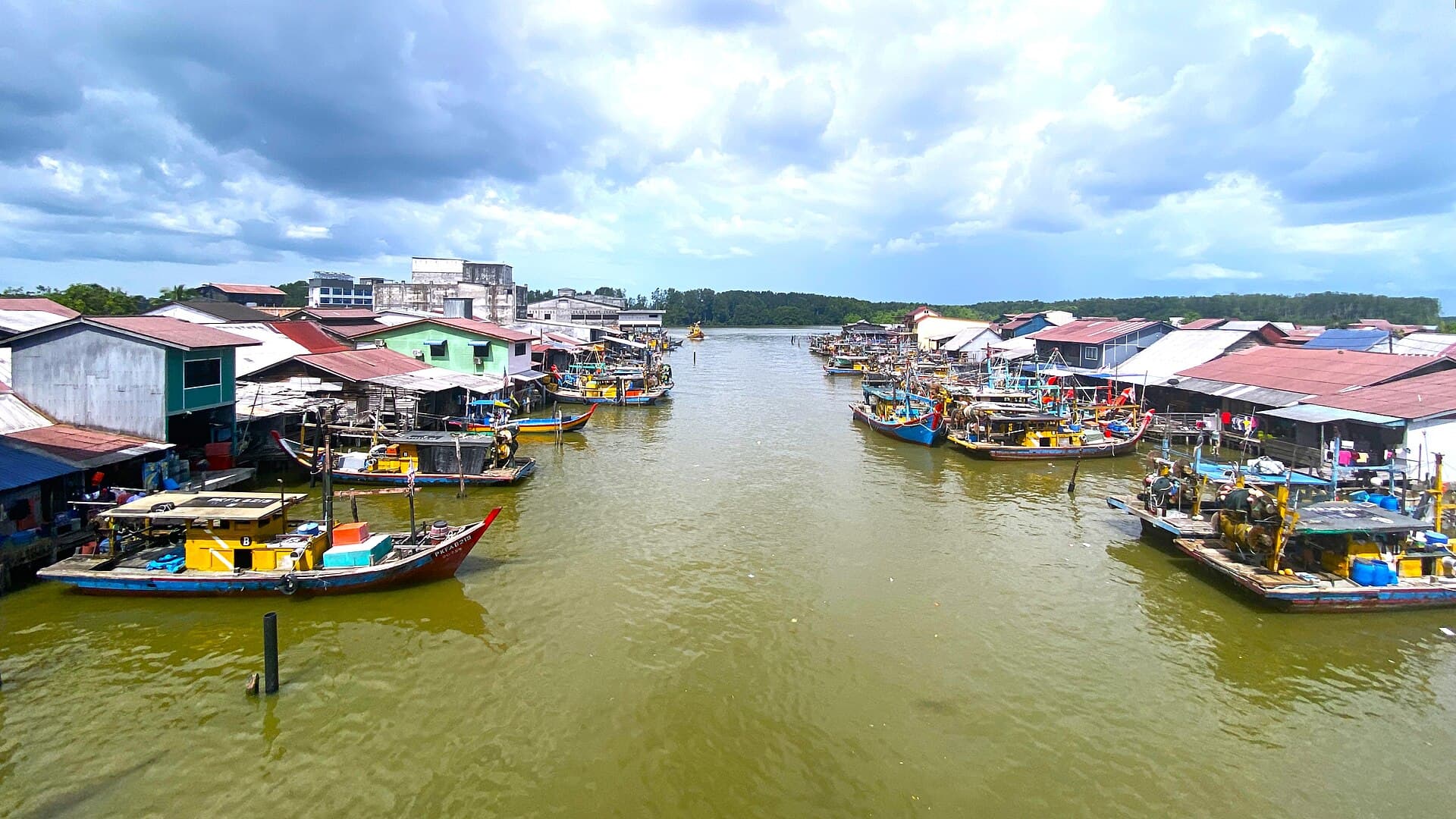 Kuala Sepetang and the Matang mangroves