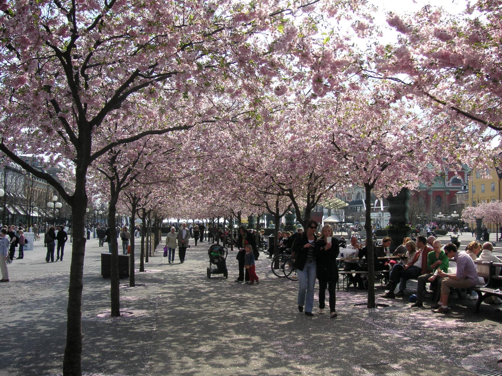Kungstradgarden (The King's Garden), Stockholm