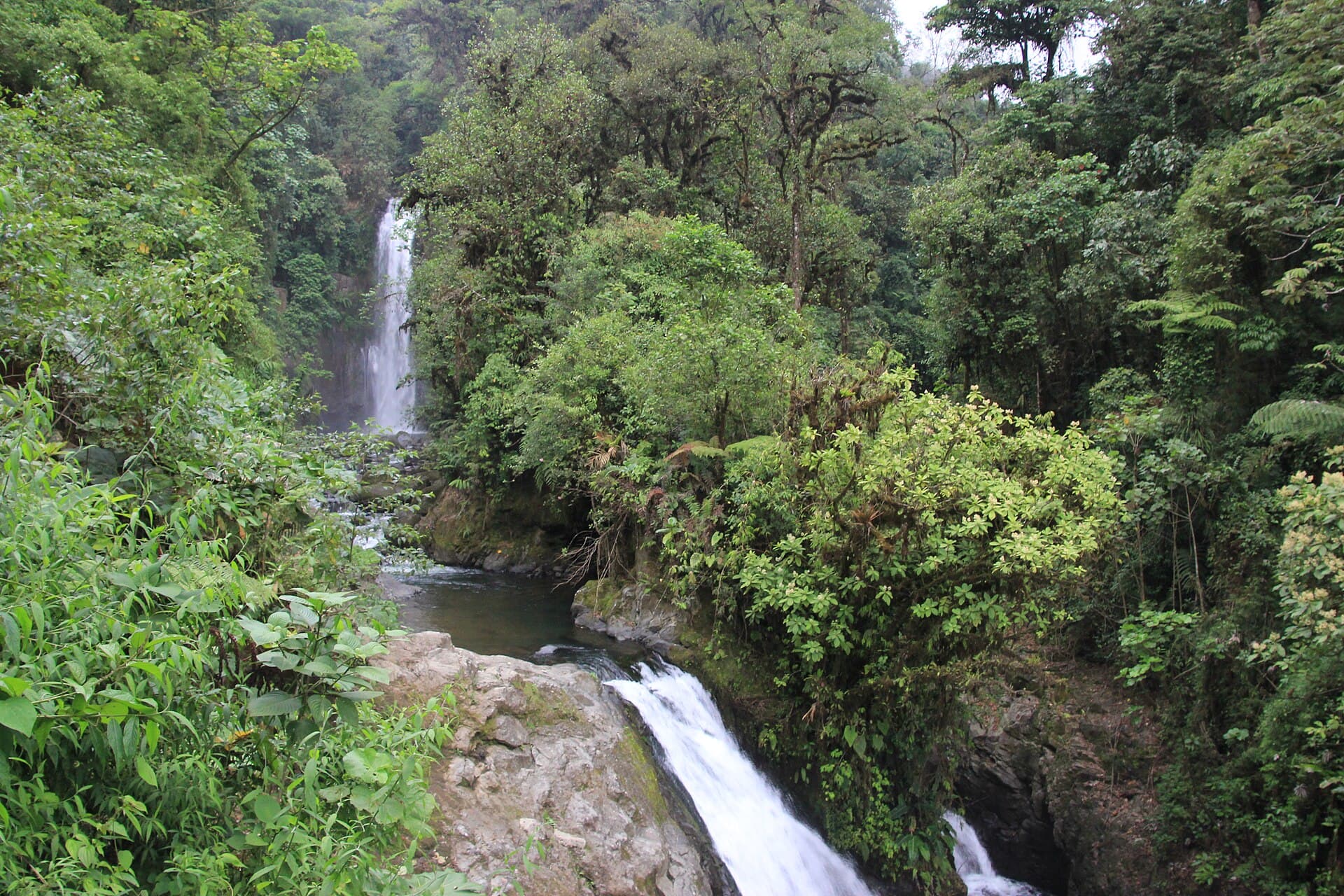 La Paz Waterfall Gardens