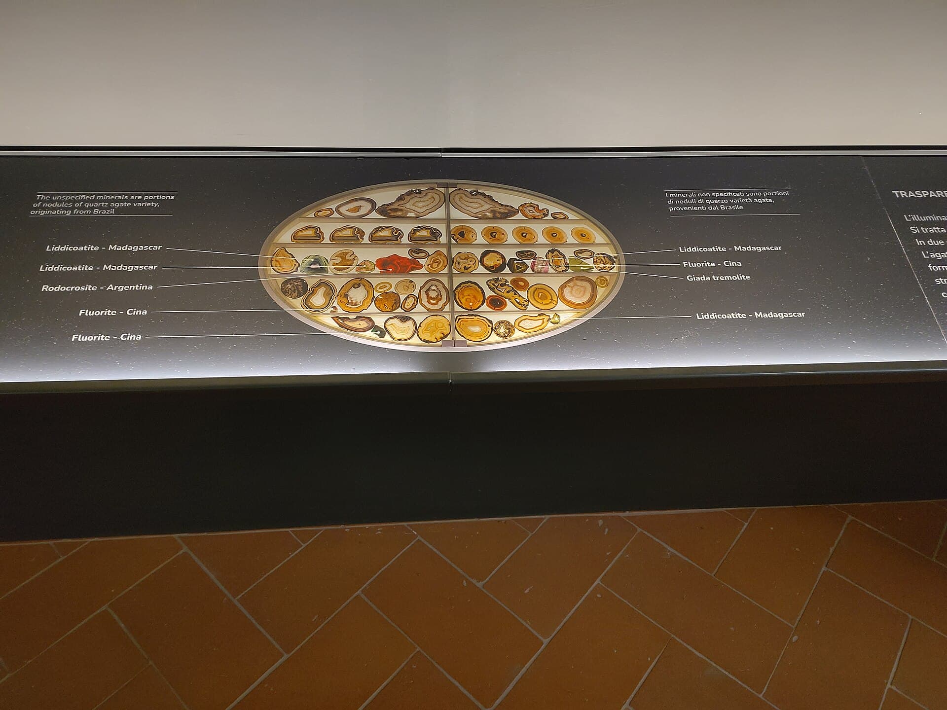 La Specola Natural History Museum, Florence