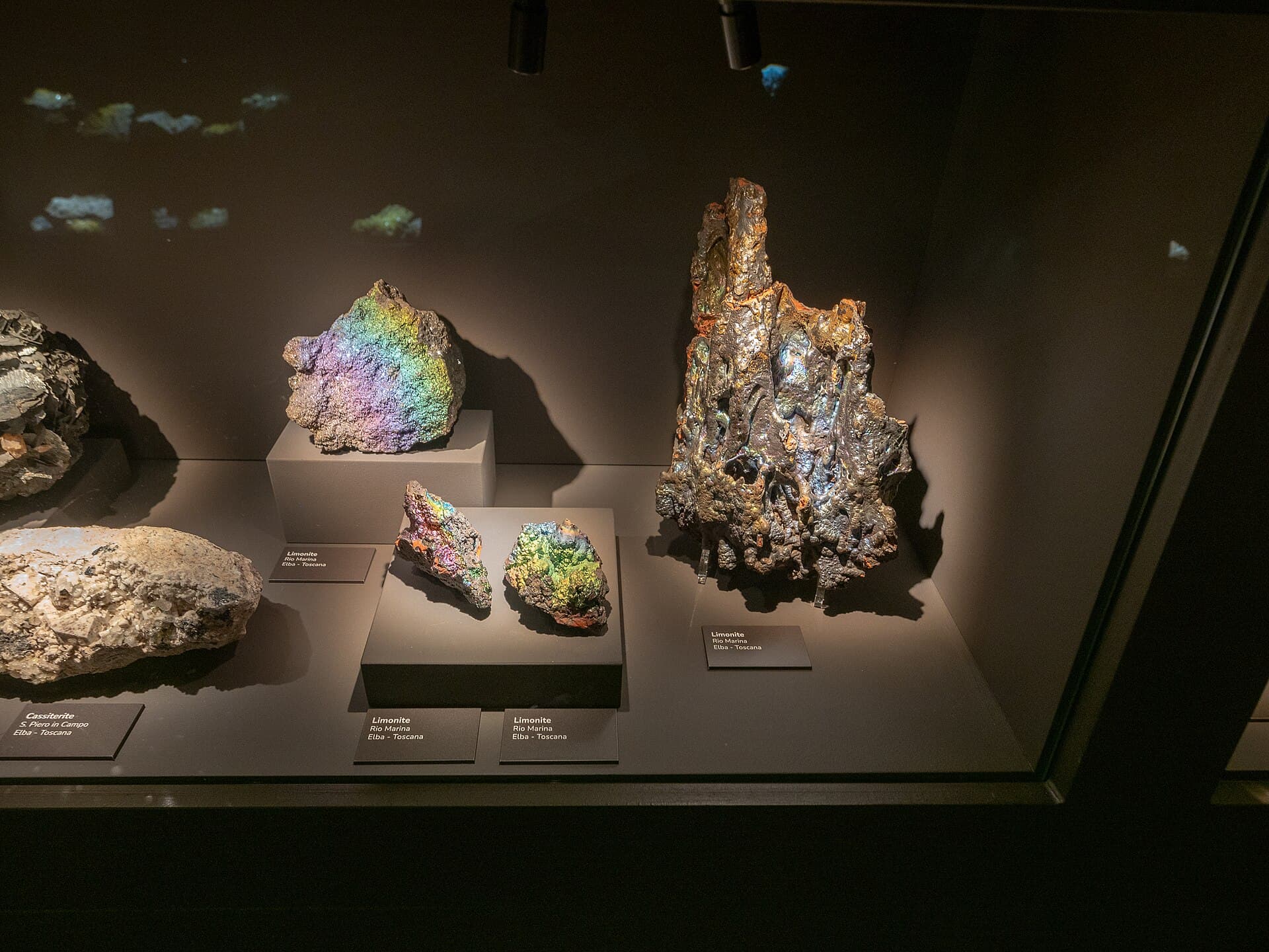 La Specola Natural History Museum, Florence