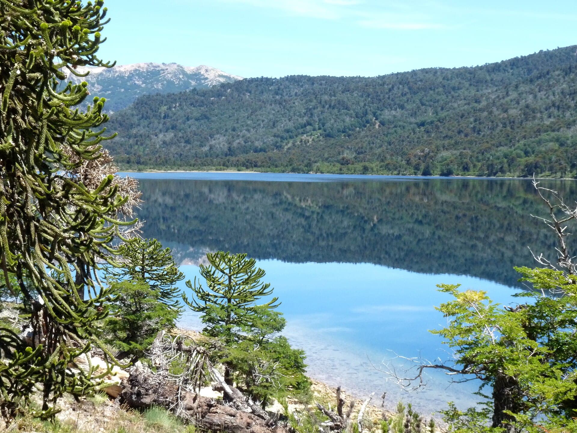 Lago Rucachoroi (House of Parrots), Villa Pehuenia