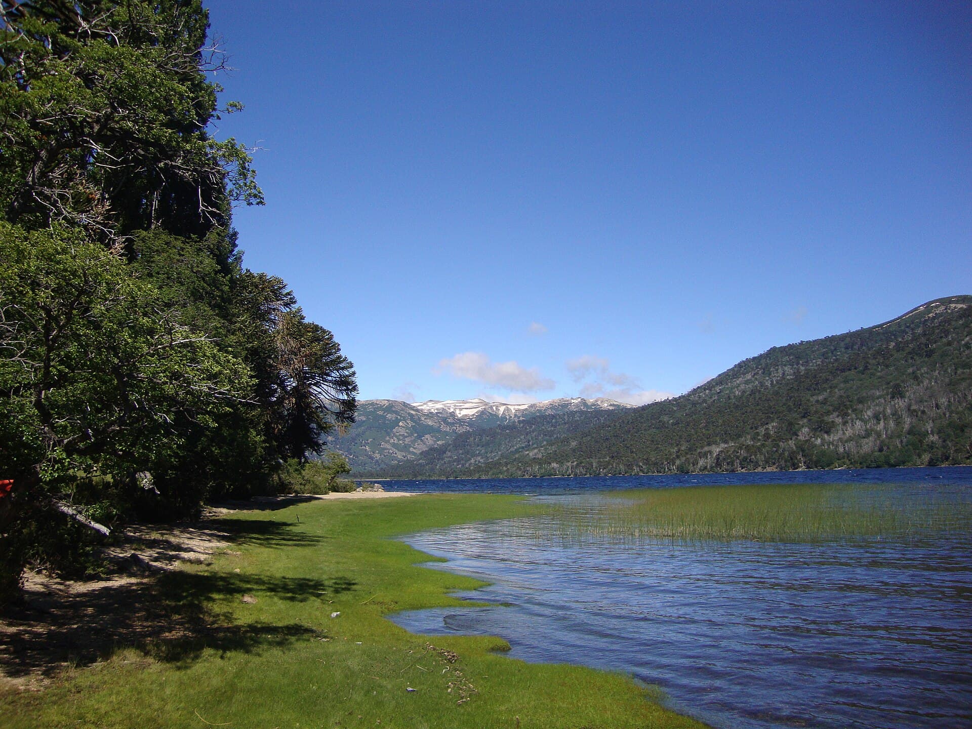 Lago Rucachoroi (House of Parrots), Villa Pehuenia