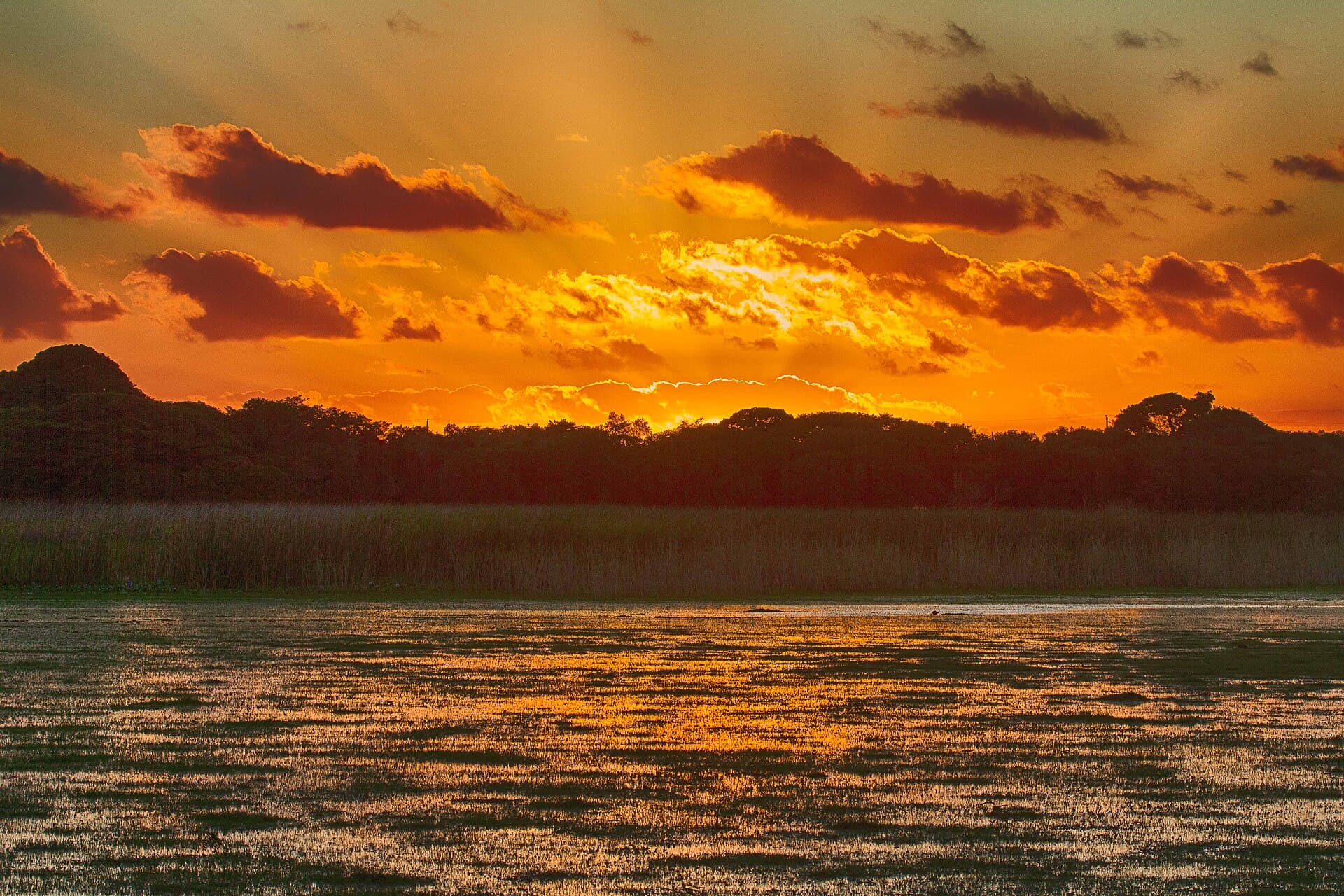 Lagoa do Peixe National Park, Mostardas