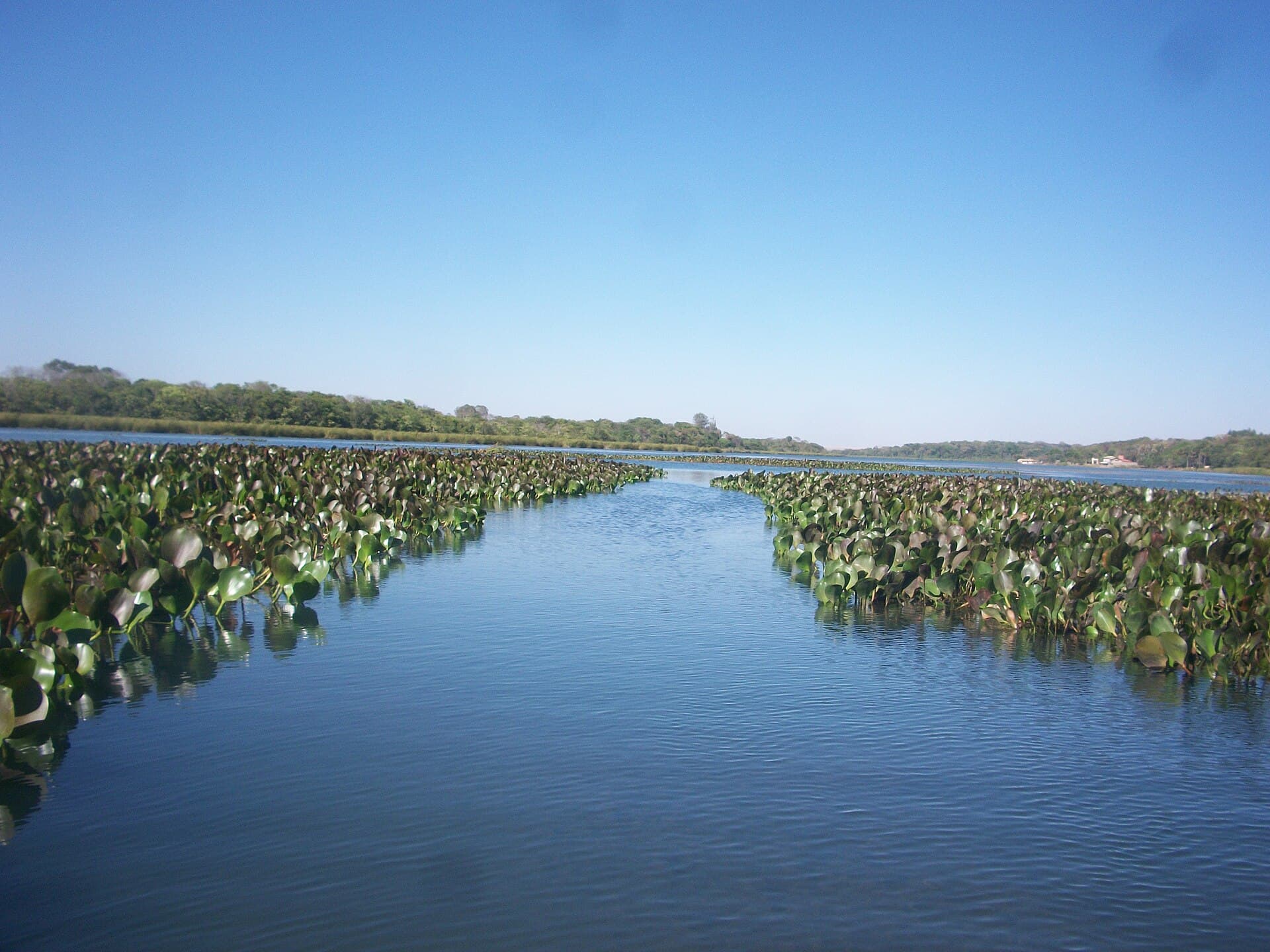 Lagoa Feia (Formosa), Formosa