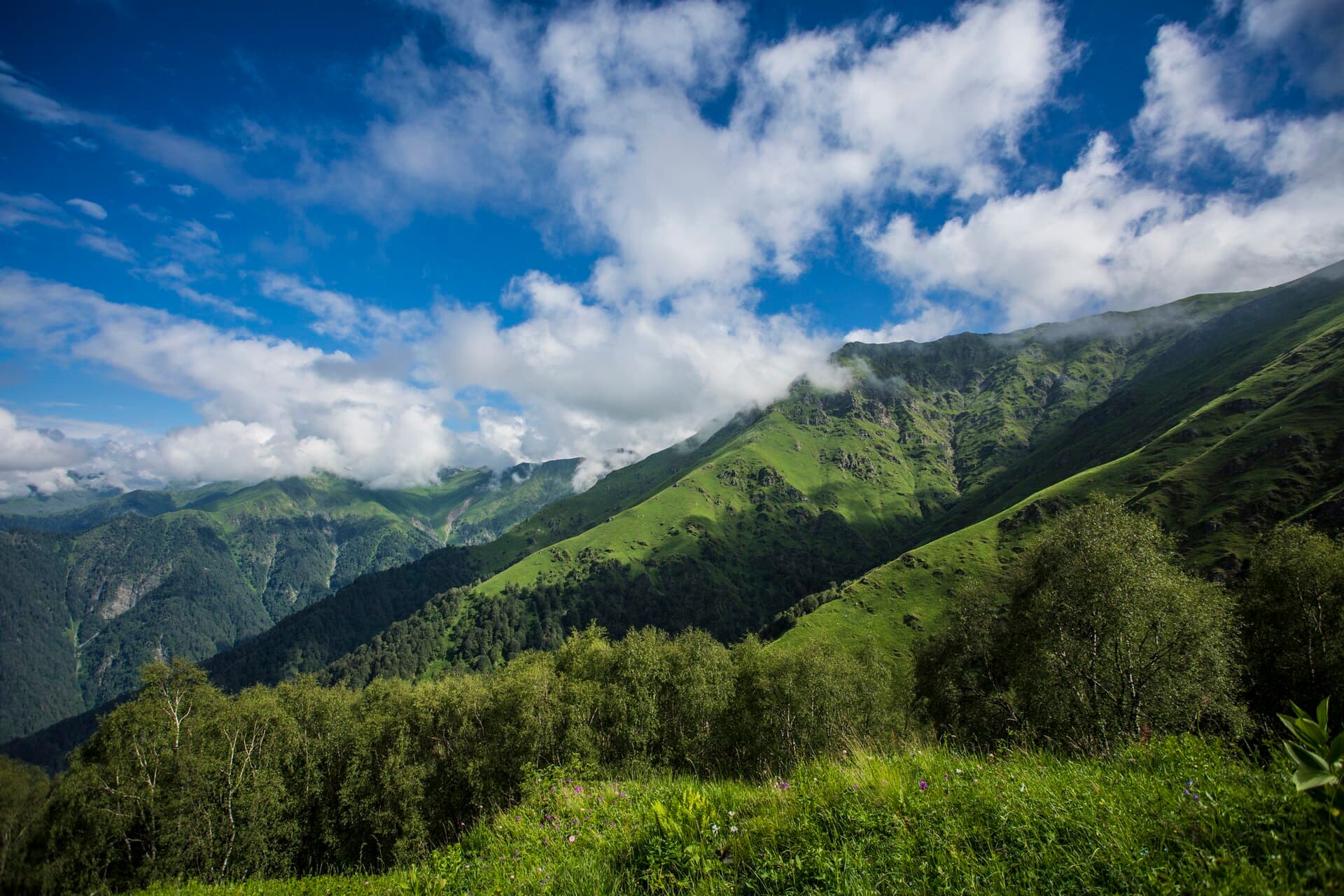 Lagodekhi Protected Areas, Lagodekhi
