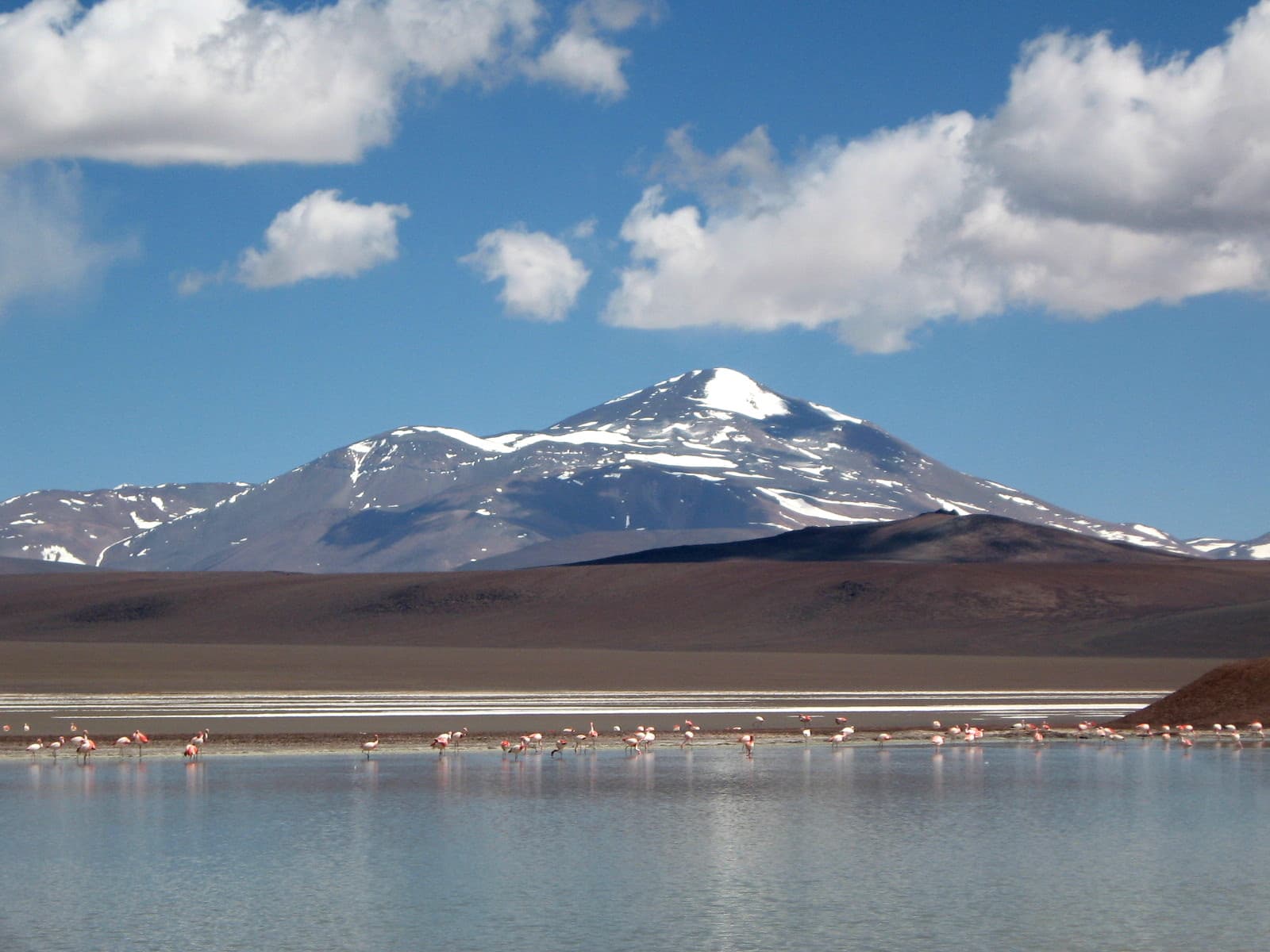 Laguna Brava Reserve, Villa Unión