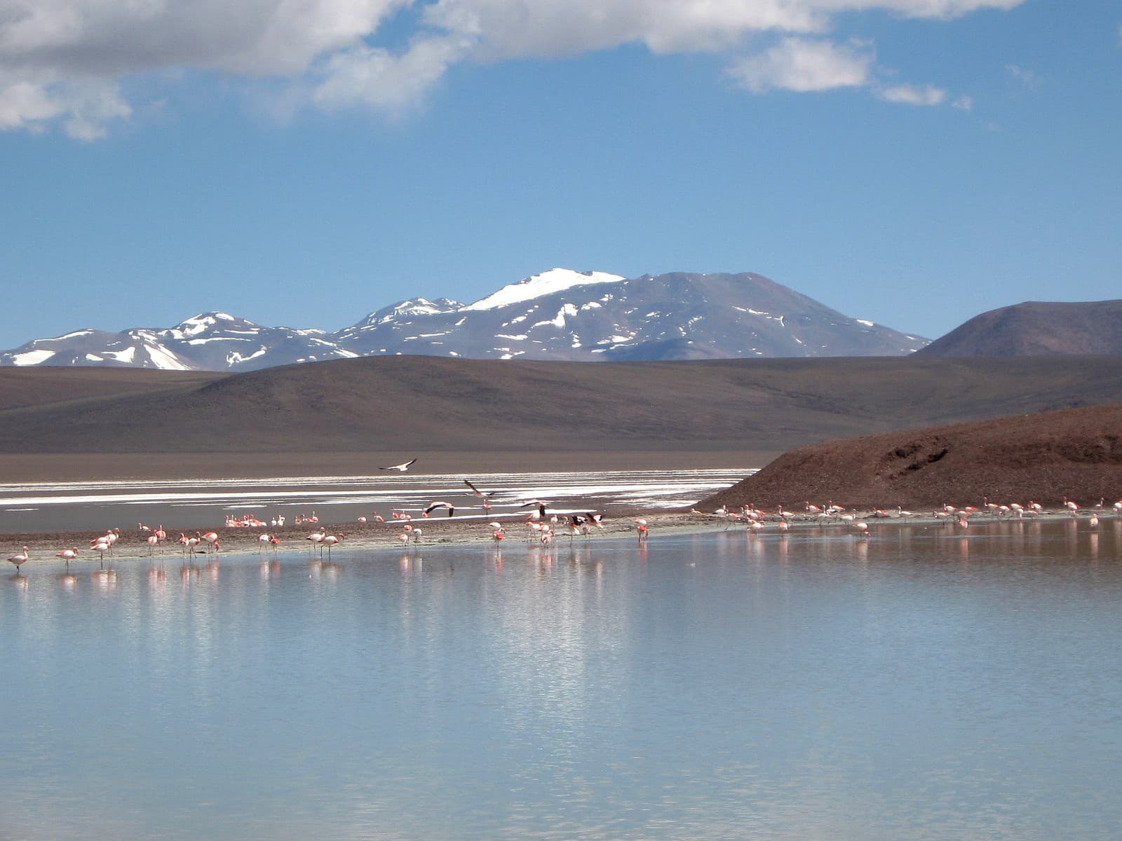 Laguna Brava Reserve, Villa Unión
