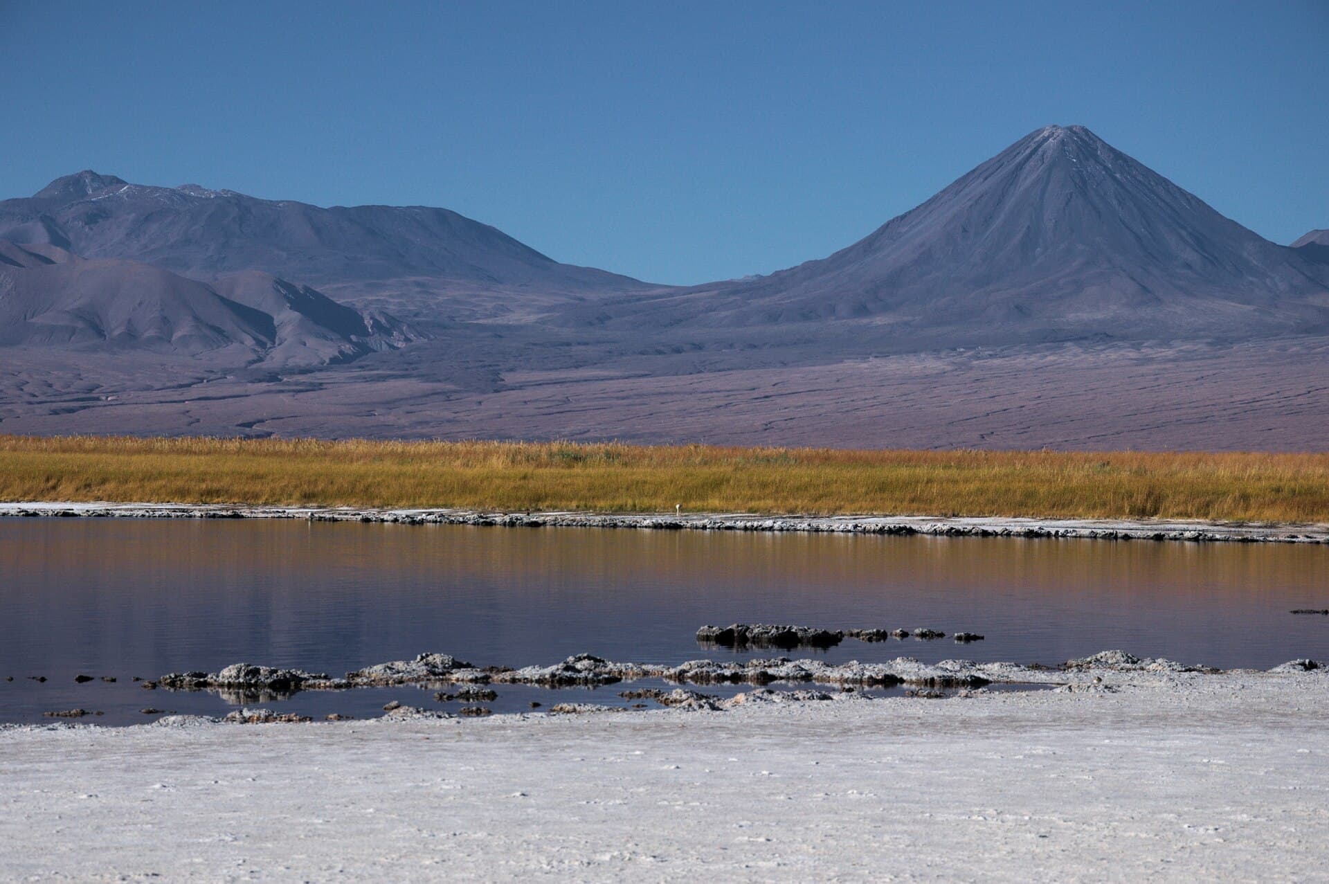 Laguna Cejar salt lagoon