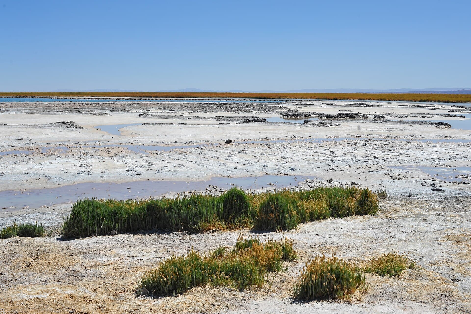 Laguna Cejar salt lagoon
