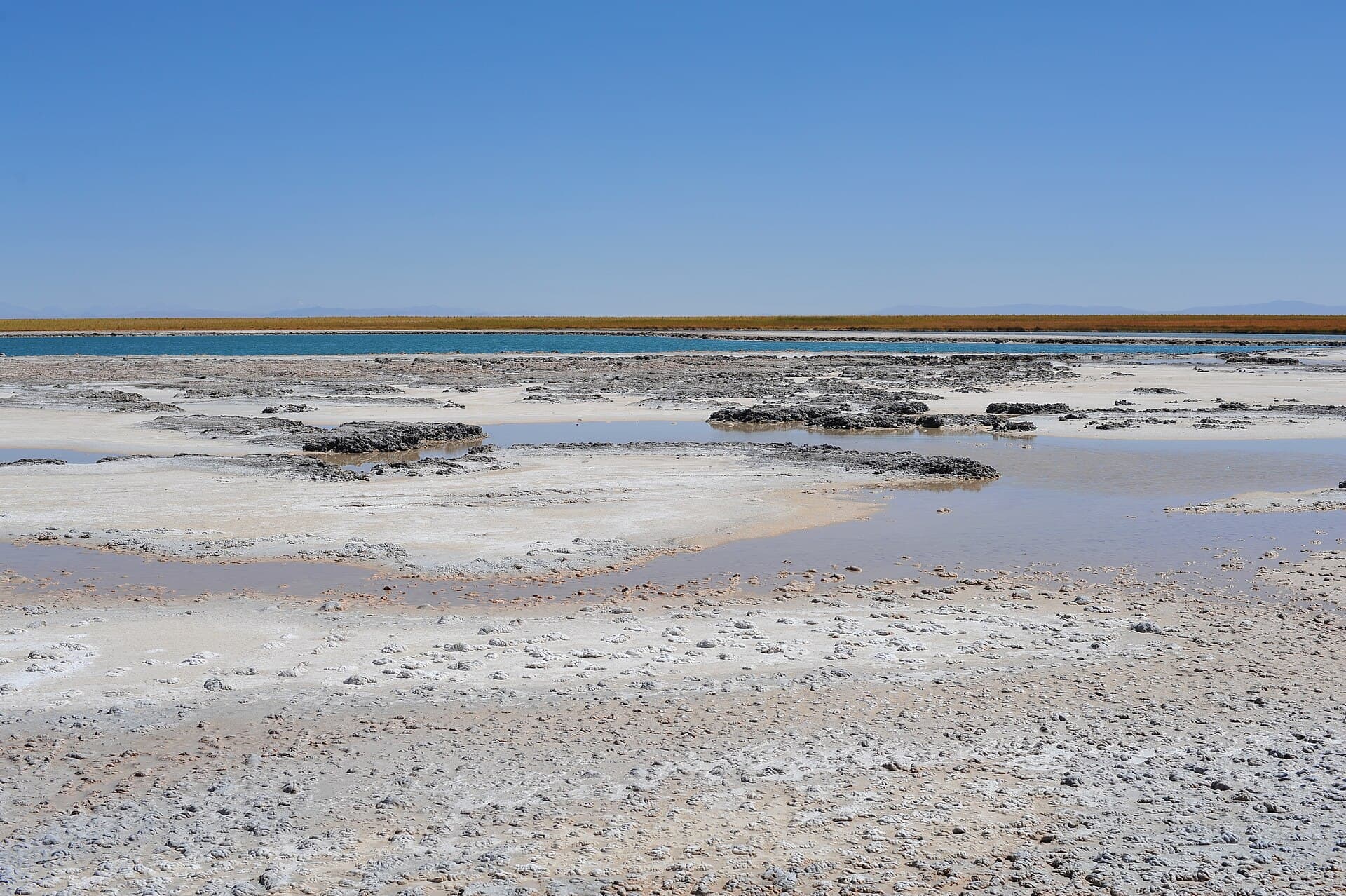 Laguna Cejar salt lagoon