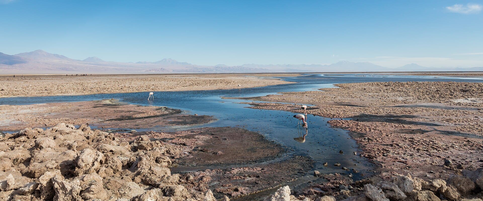 Laguna Chaxa and its flamingos