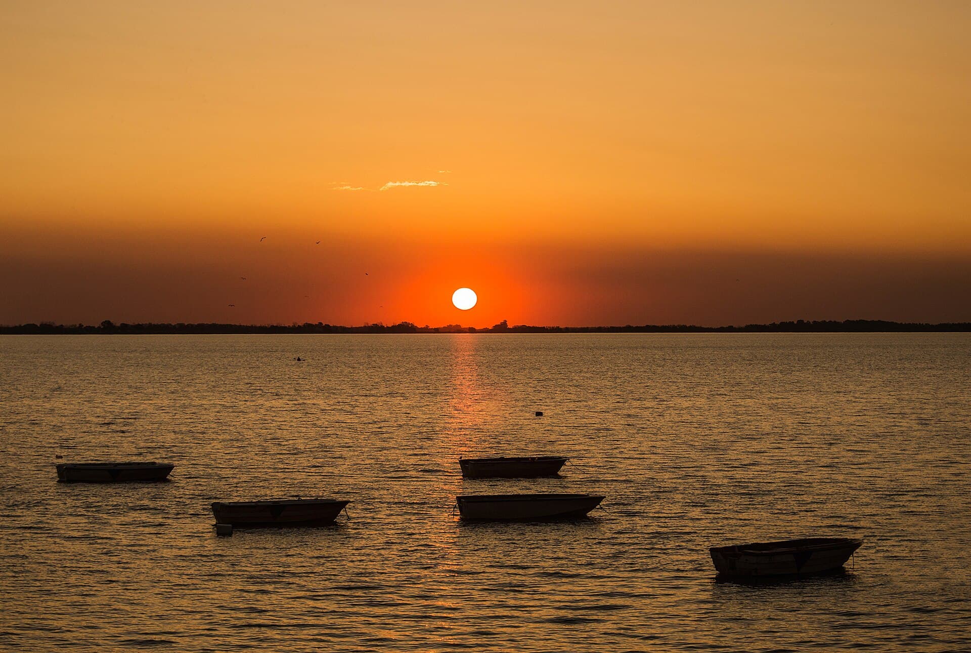 Laguna de Chascomús, Buenos Aires
