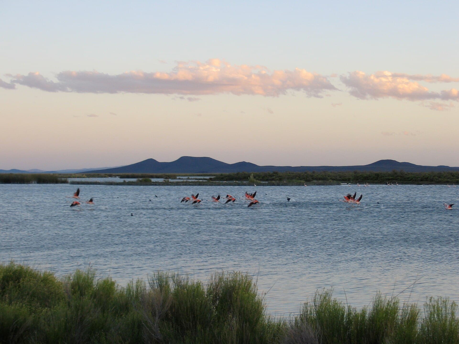 Laguna de Llancanelo, Malargüe