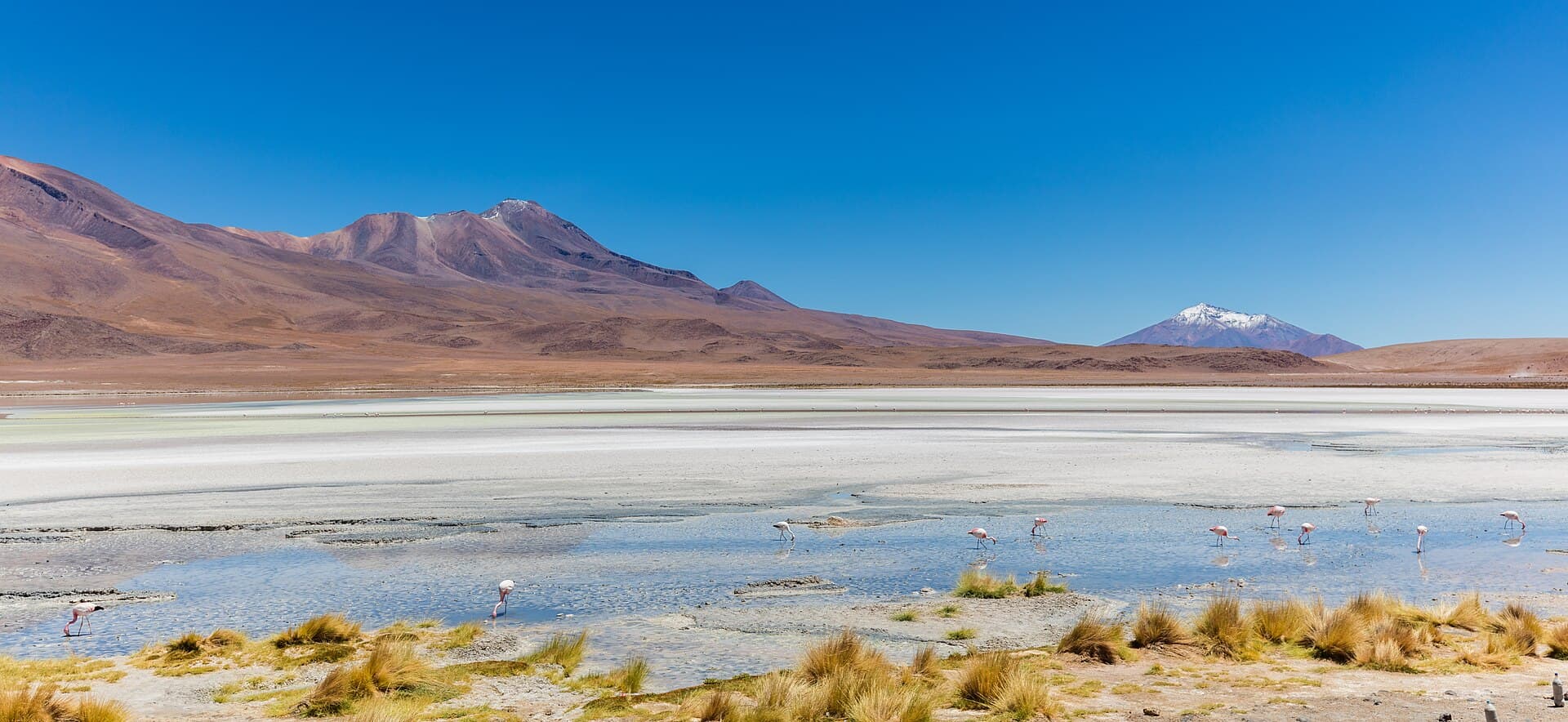 بحيرة إيديوندا وطيور النحام
