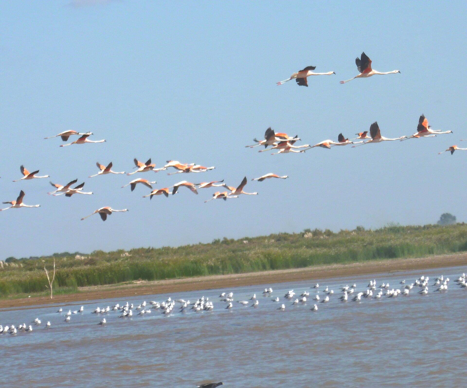 Mar de Ansenuza (Laguna Mar Chiquita), Córdoba