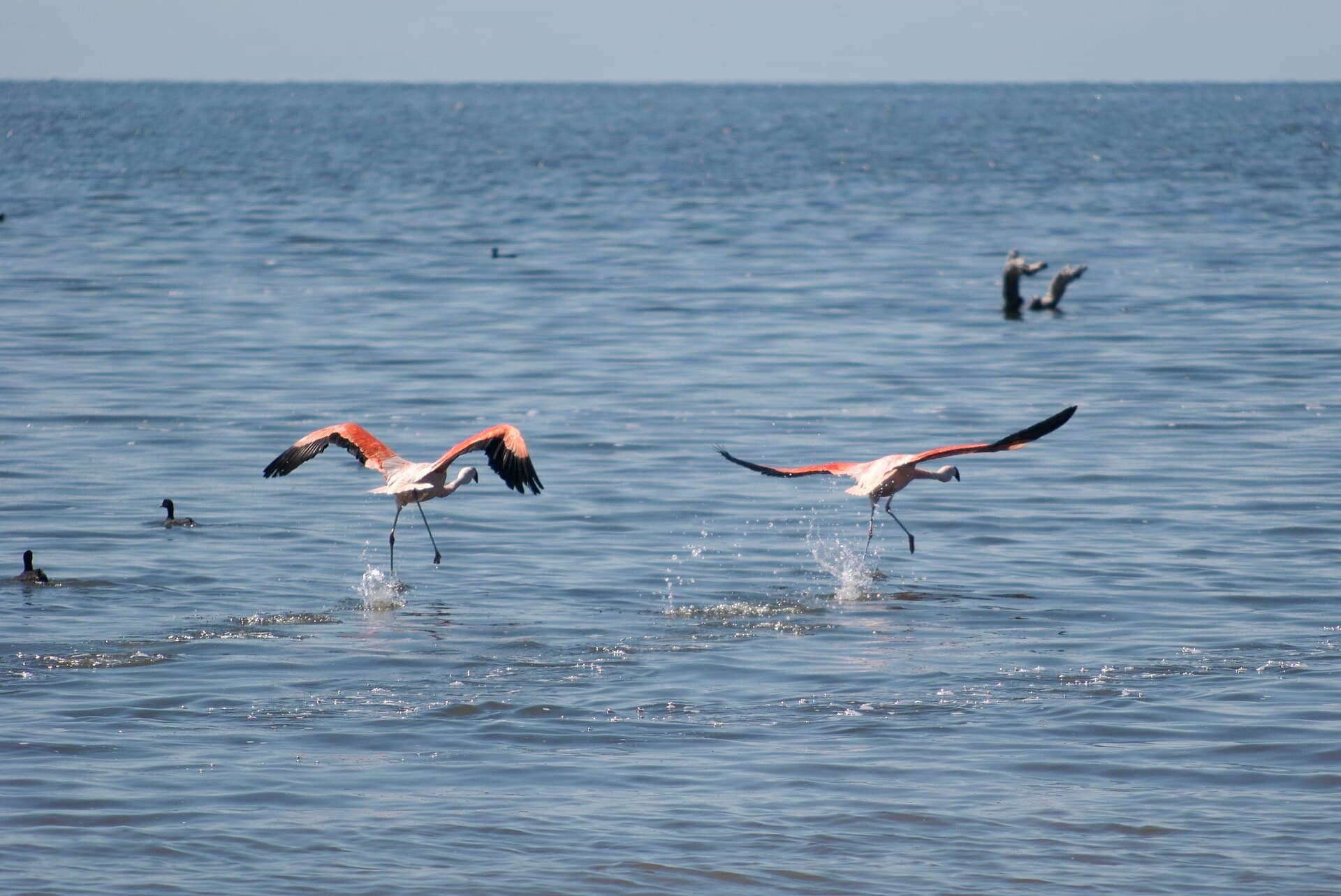Mar de Ansenuza (Laguna Mar Chiquita), Córdoba