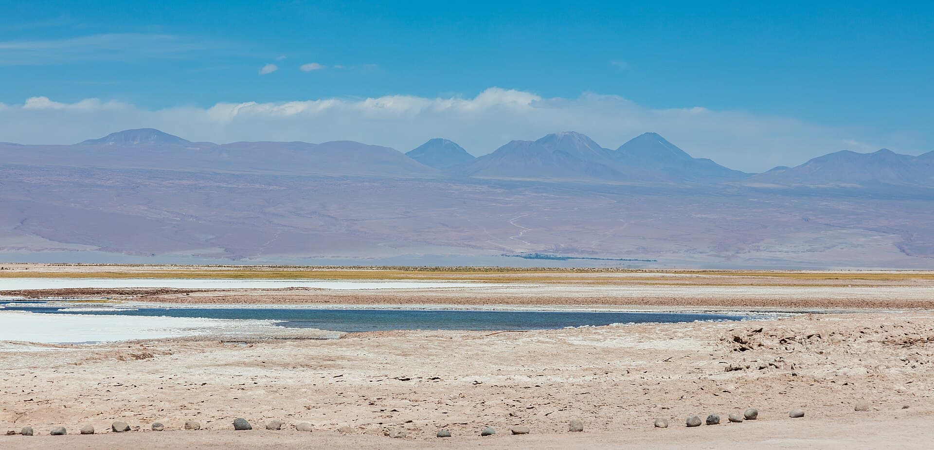 Laguna Tebinquinche salt lagoon