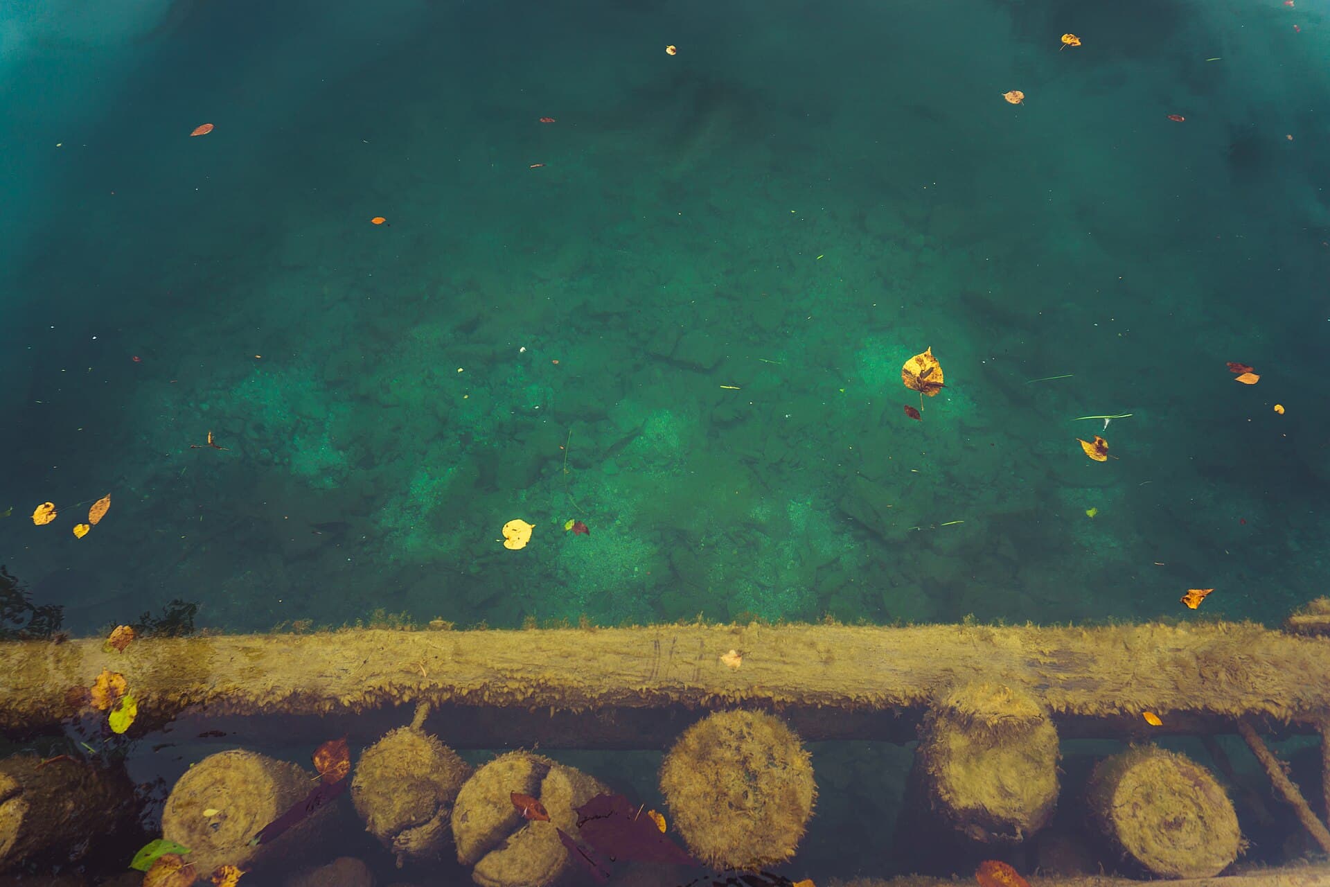 Lake Bled, Bled