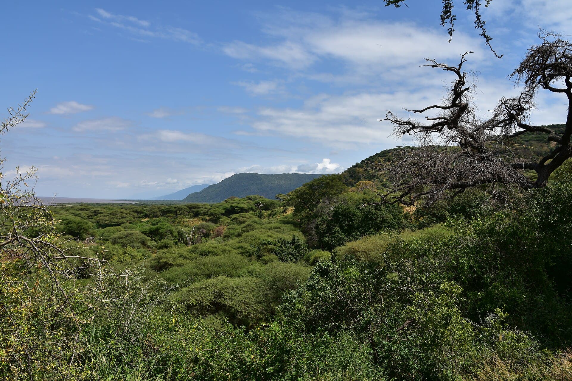 Lake Manyara National Park, Arusha