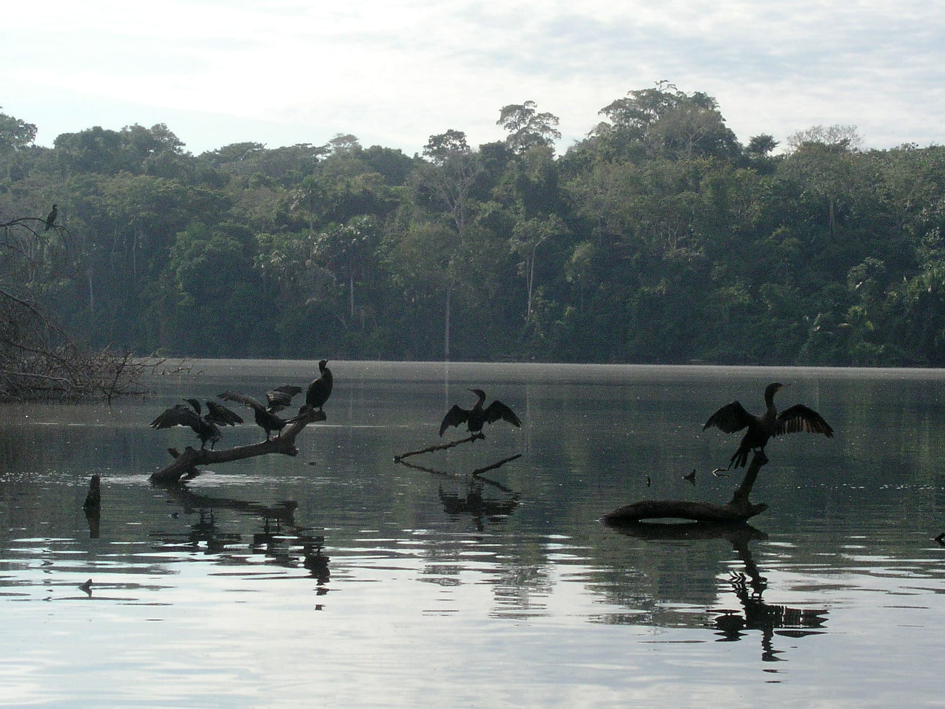Lake Sandoval, Puerto Maldonado