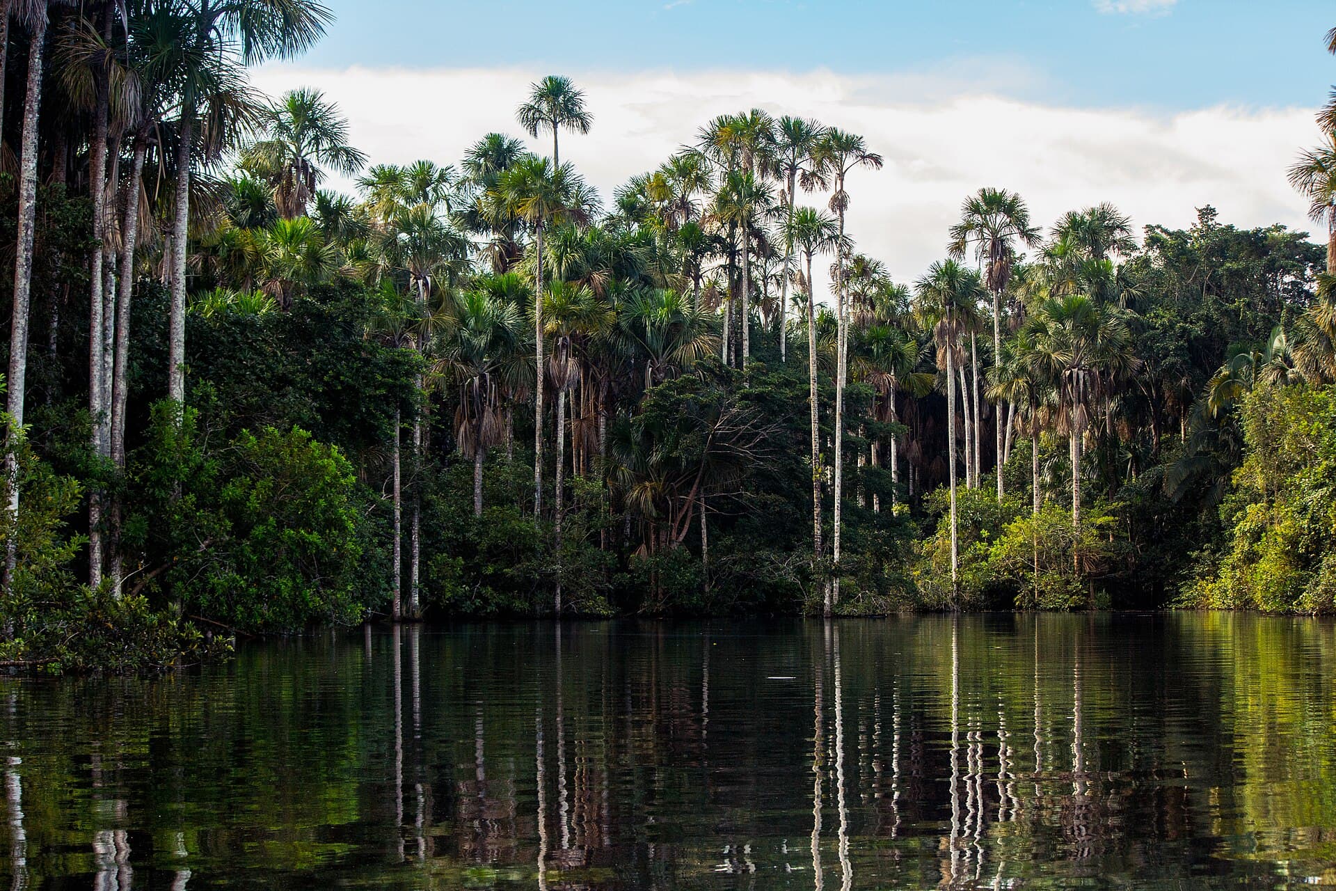 Lake Sandoval, Puerto Maldonado