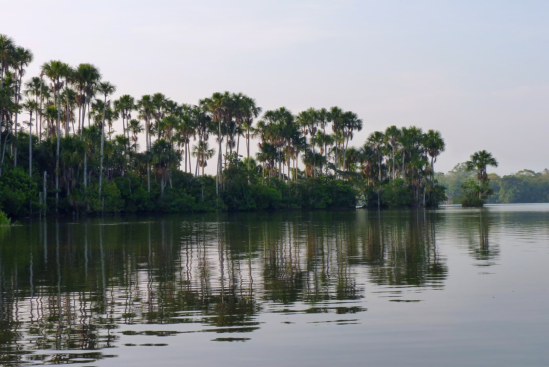Lake Sandoval, Puerto Maldonado
