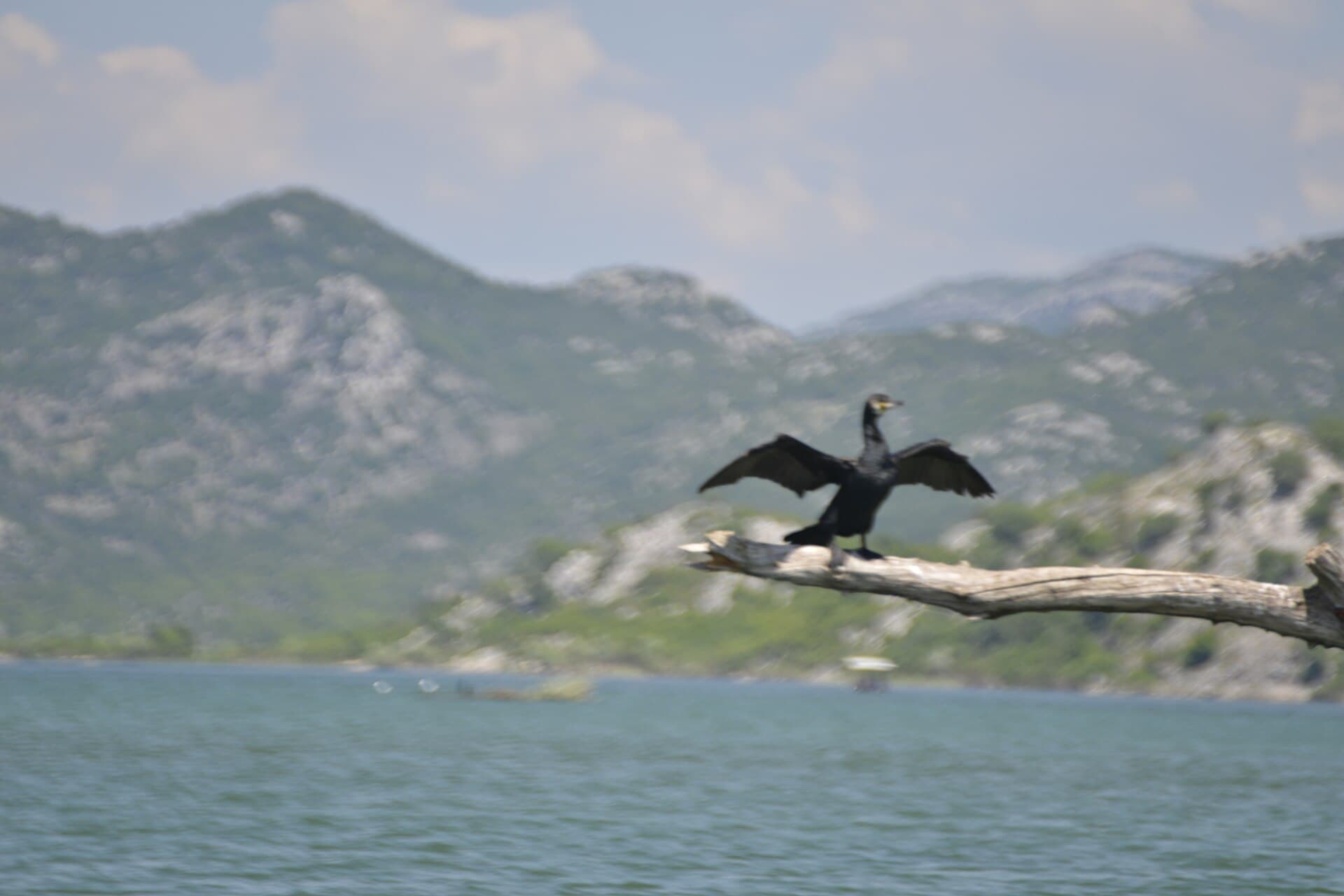 Podgorica