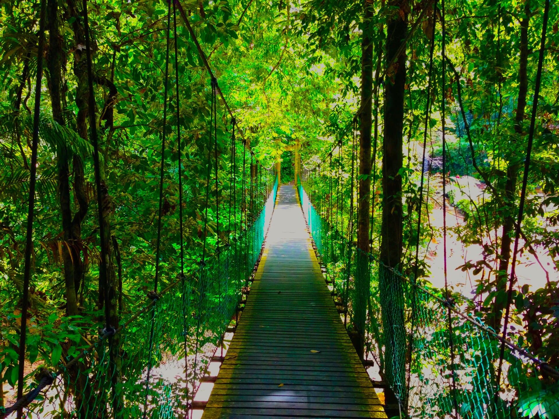 Lambir Hills National Park