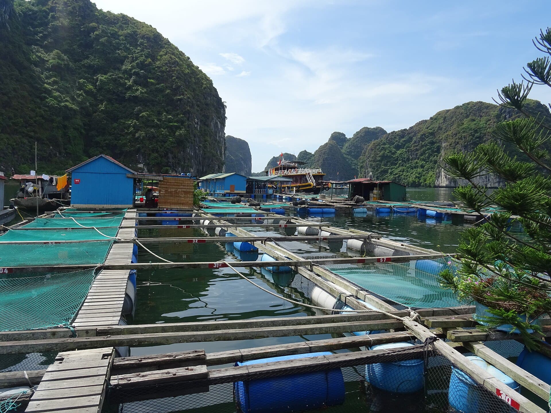 Lan Ha Bay, Cat Ba