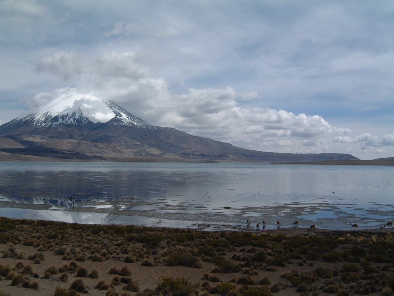 Lake Chungará in Lauca National Park