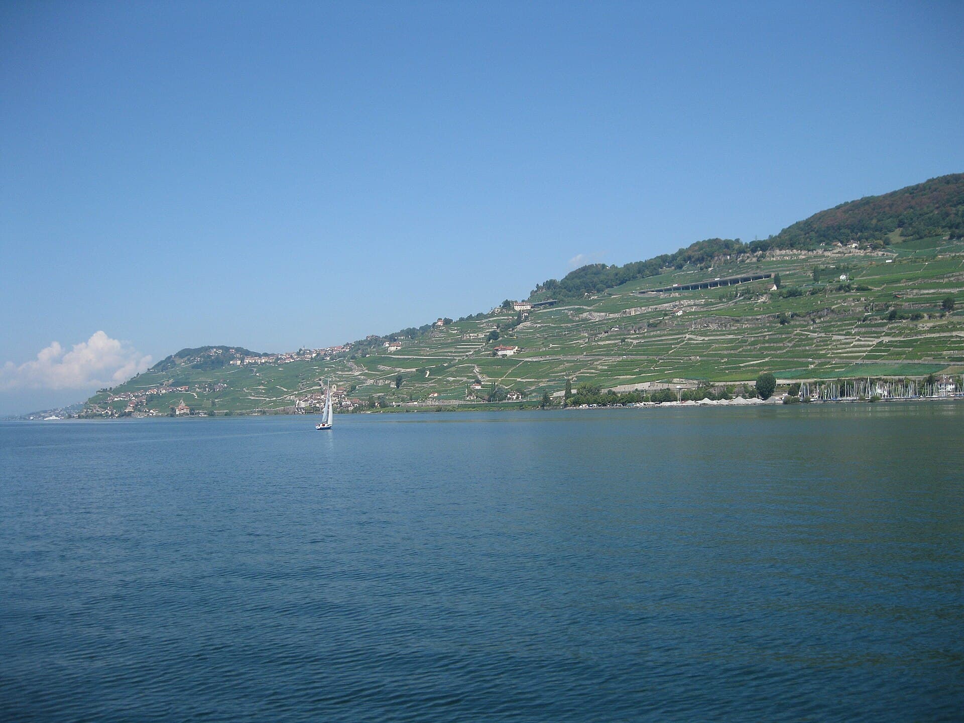 Lavaux Vineyard Terraces, Montreux