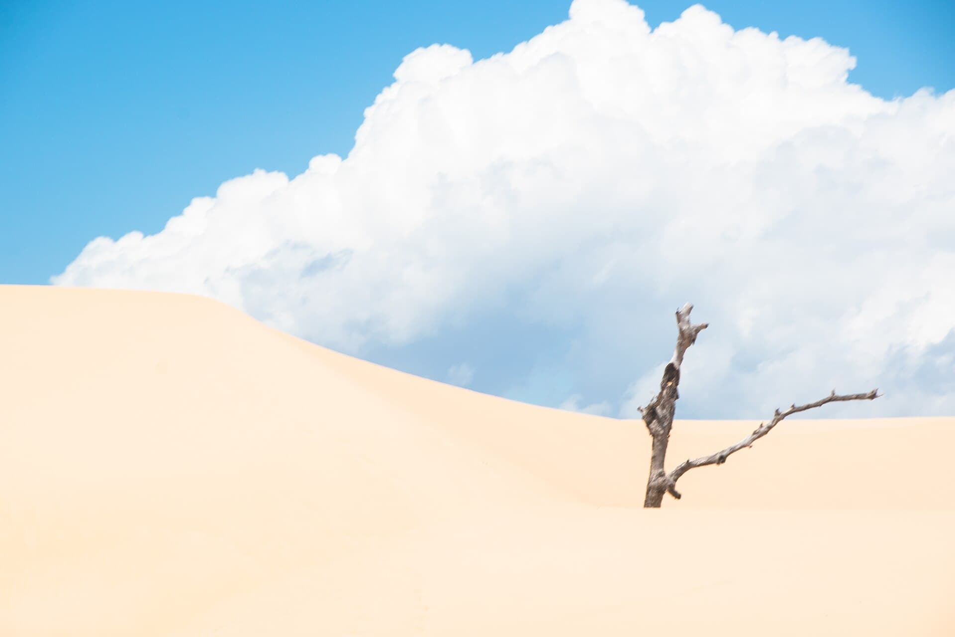 Lençóis Maranhenses National Park, Lençóis Maranhenses