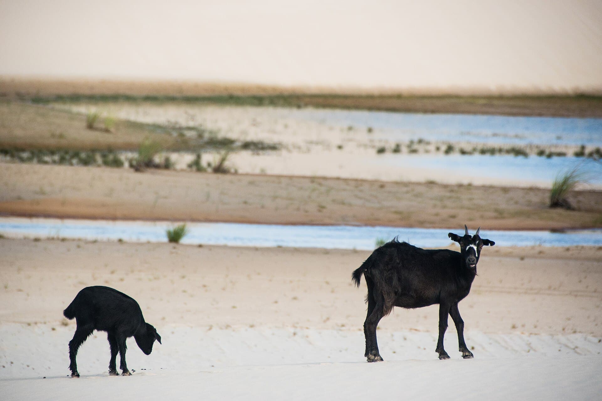 Lençóis Maranhenses National Park, Lençóis Maranhenses