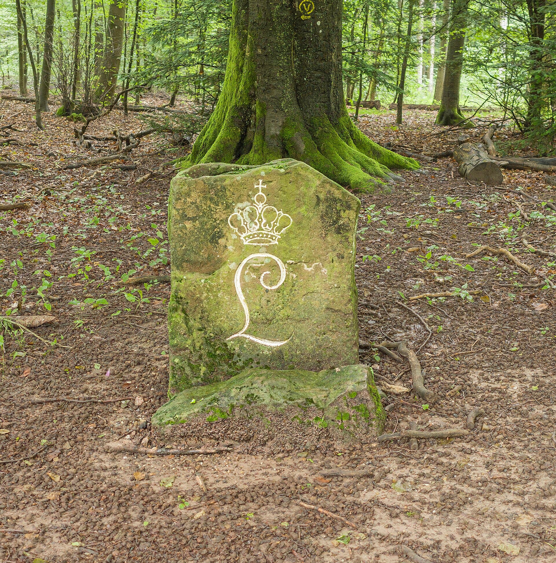 Leopoldstein, Heidelberg