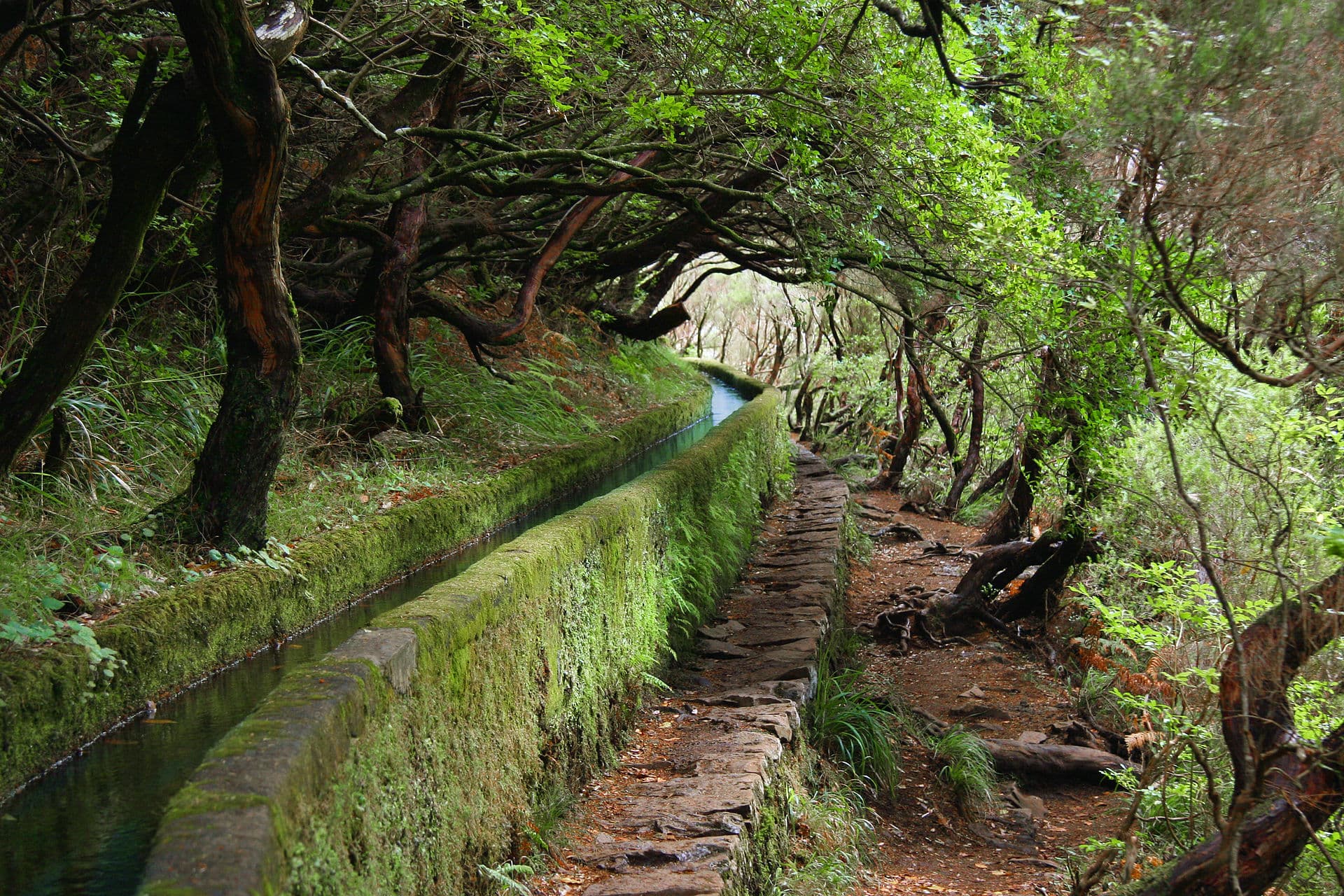 The Levada das 25 Fontes