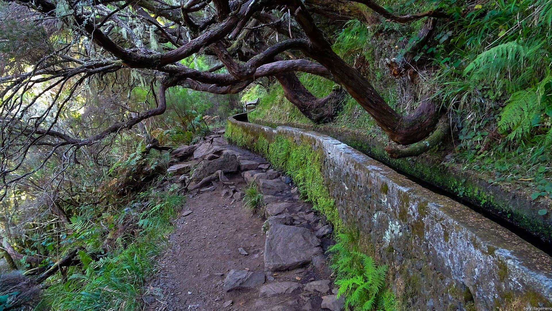 The Levada das 25 Fontes, Funchal