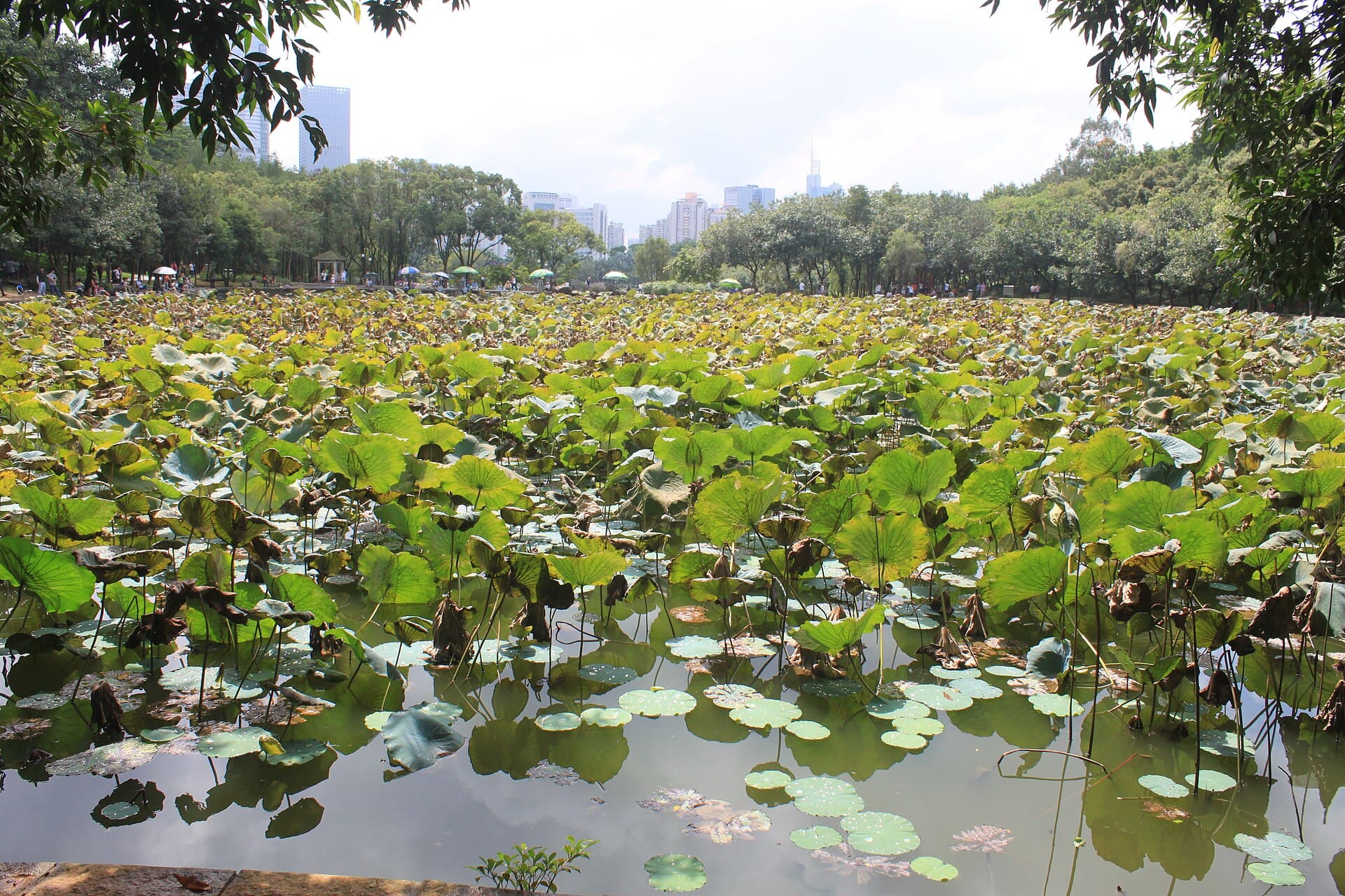 Lianhuashan Park