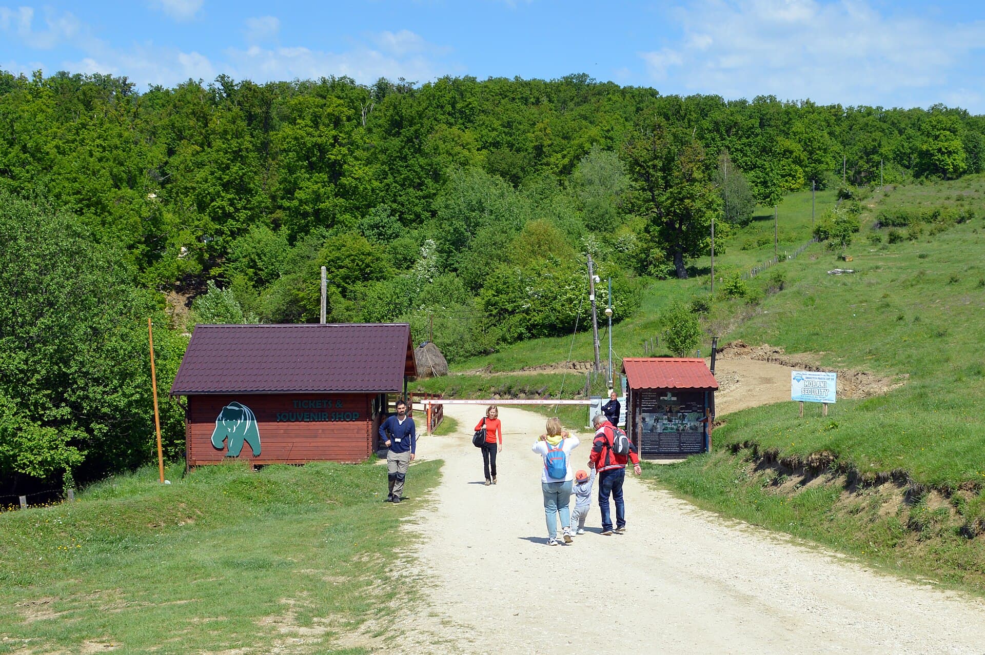 Libearty Bear Sanctuary