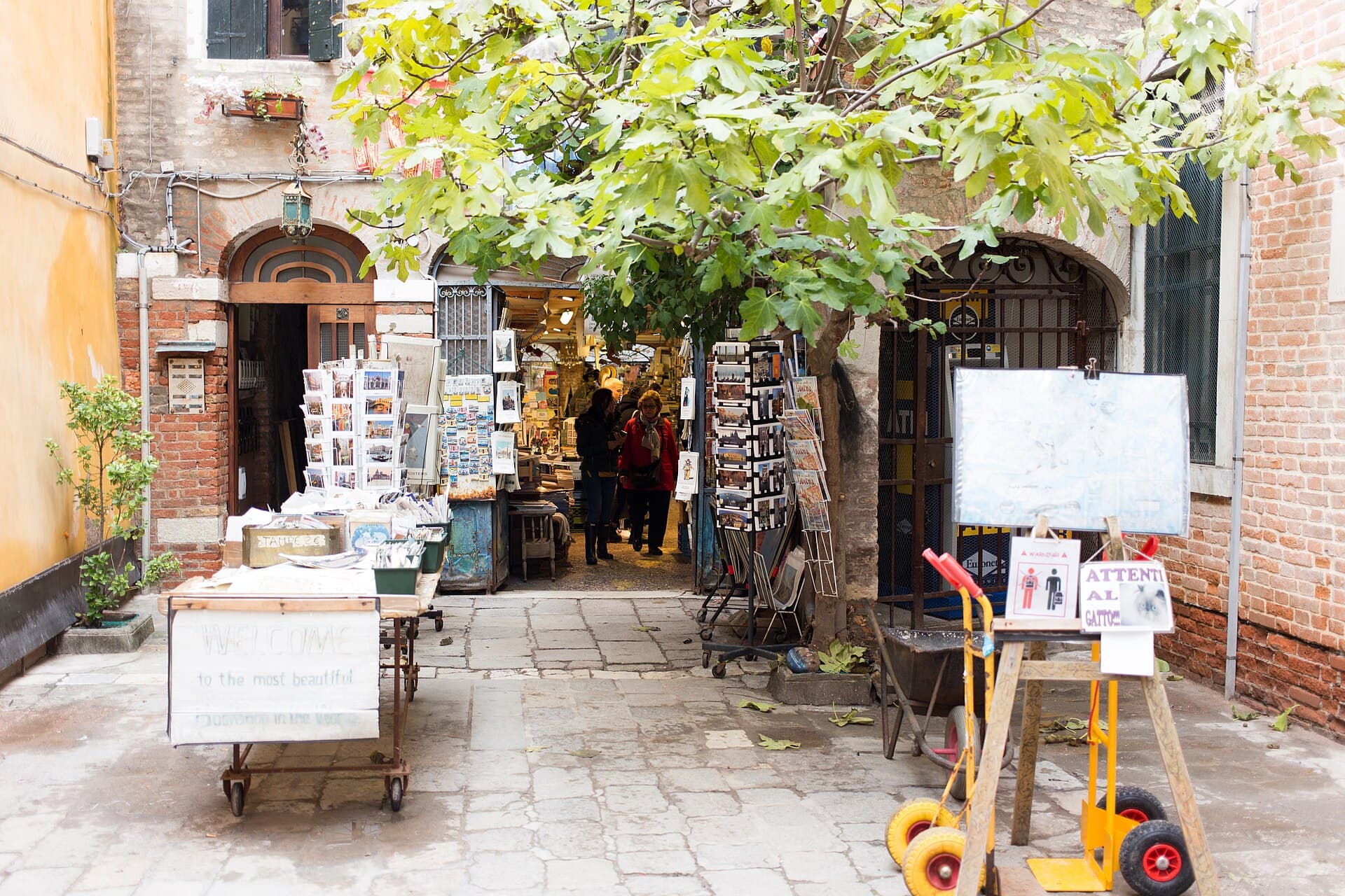 Libreria Acqua Alta, Venice, Italy