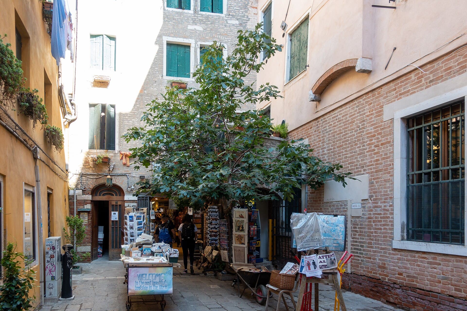 Libreria Acqua Alta, Venice, Italy