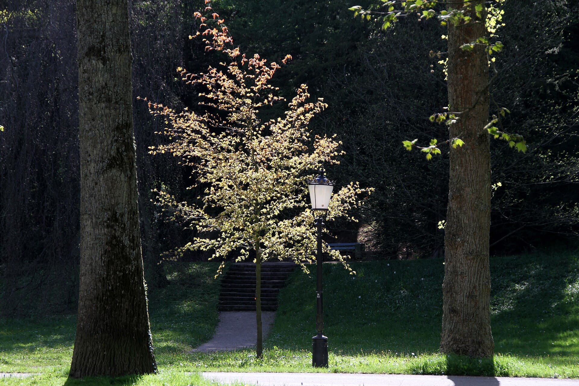 Lichtentaler Allee, Baden-Baden