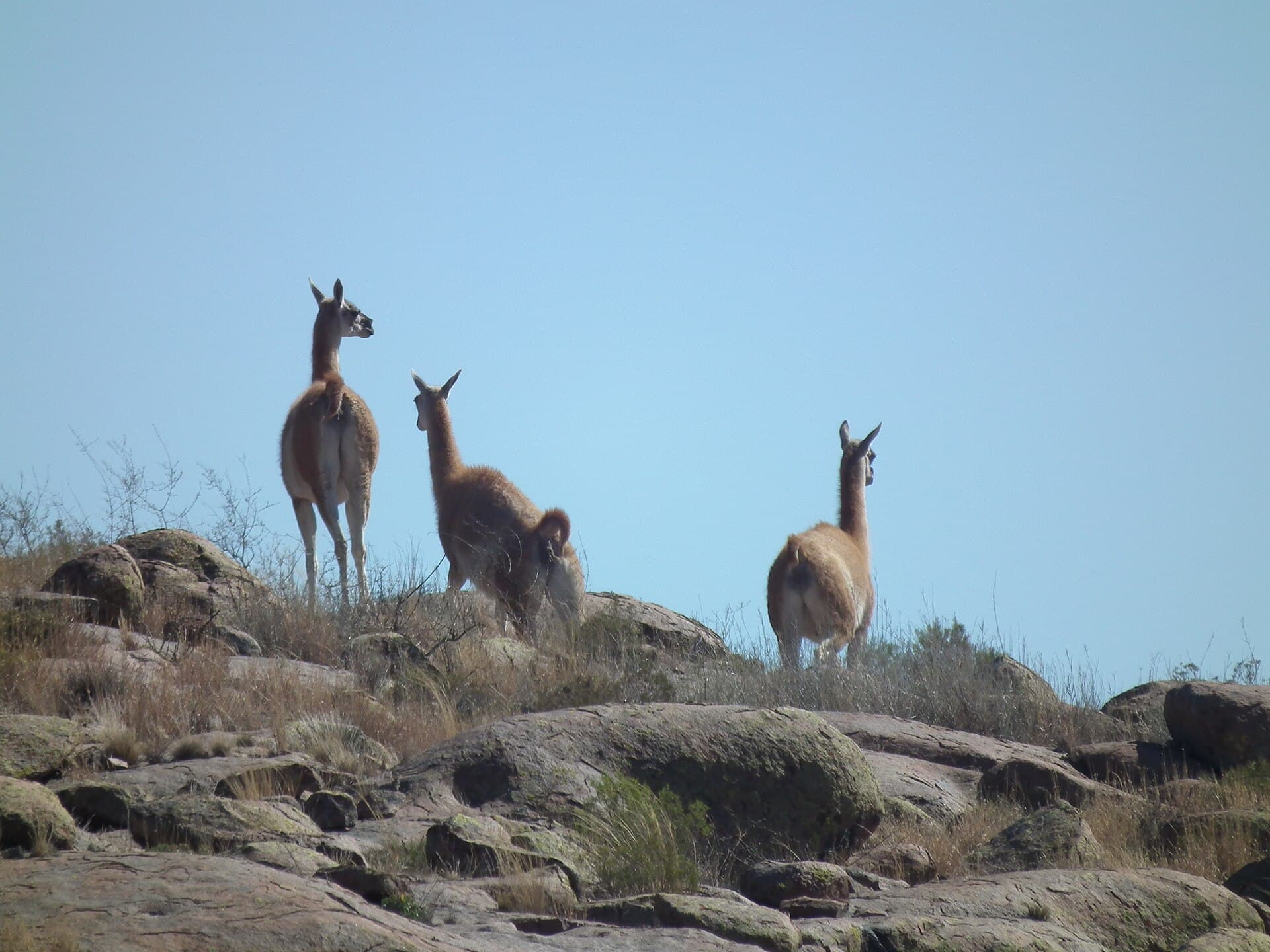 Lihué Calel National Park, Santa Rosa