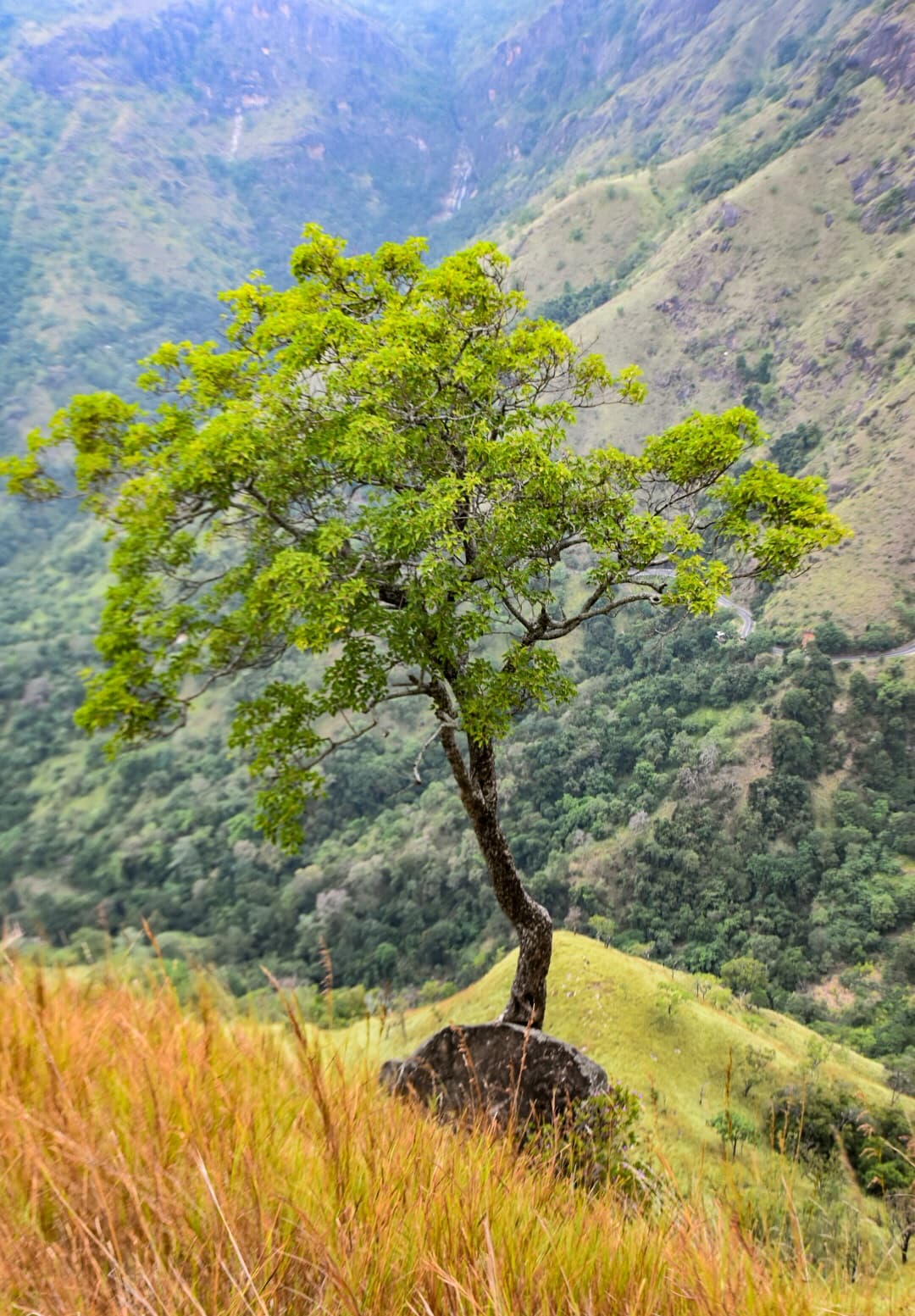 Little Adam's Peak