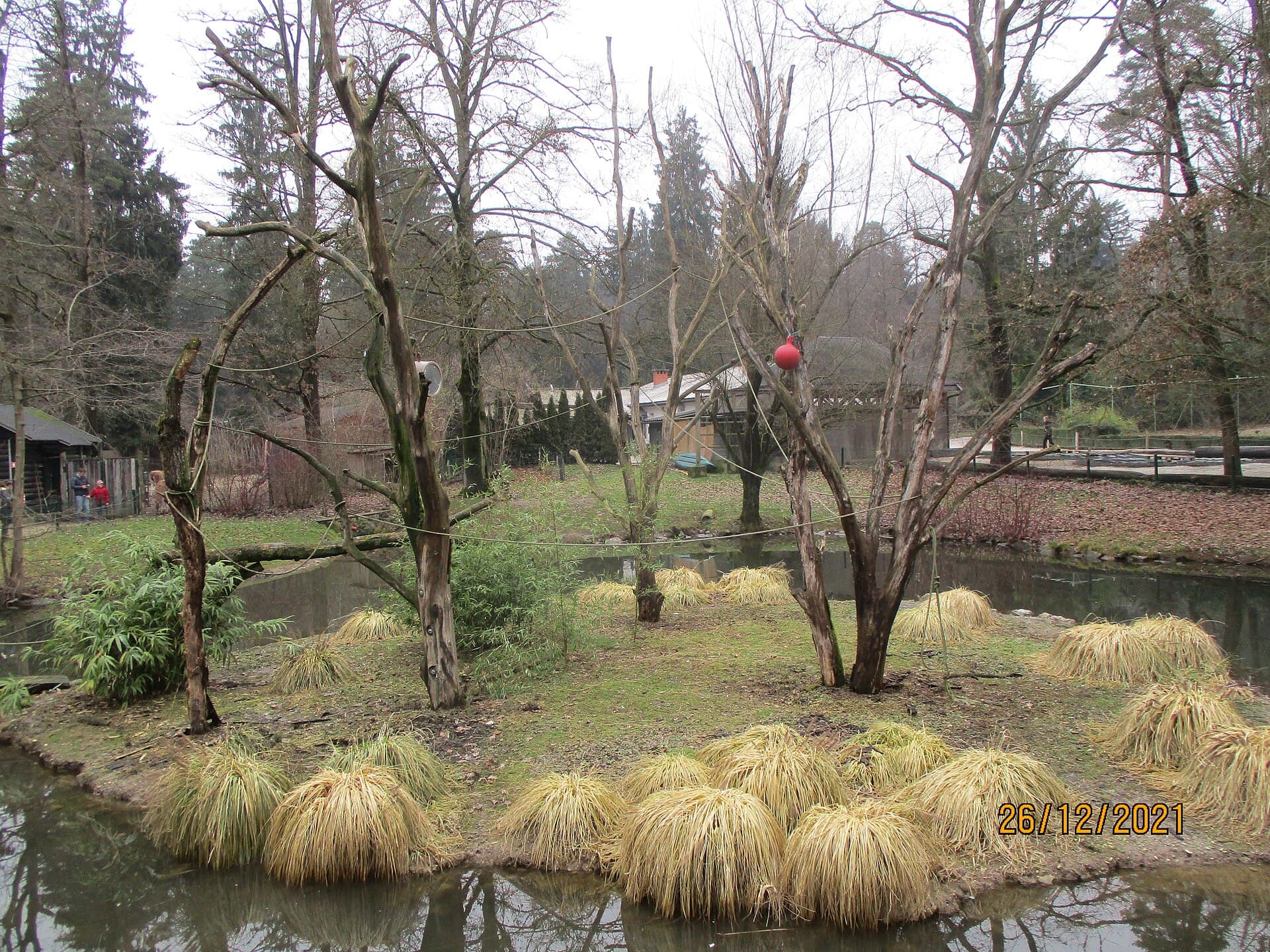 Ljubljana Zoo, Ljubljana