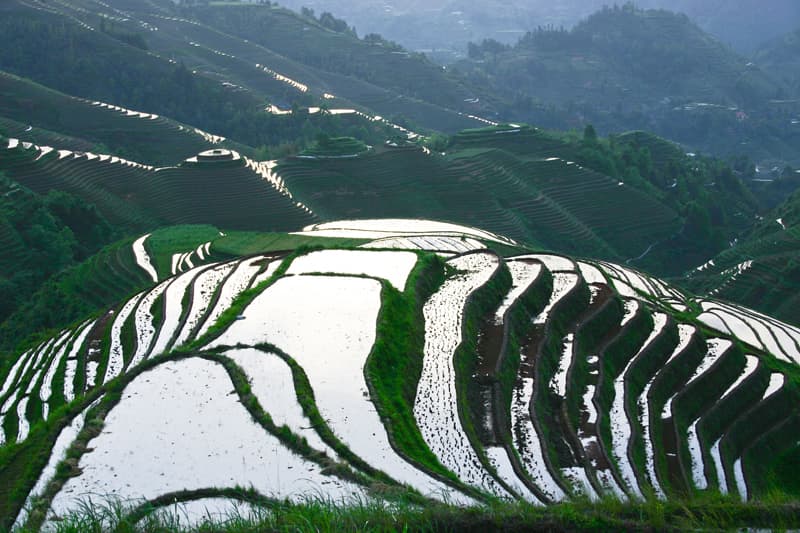 Longji Rice Terraces