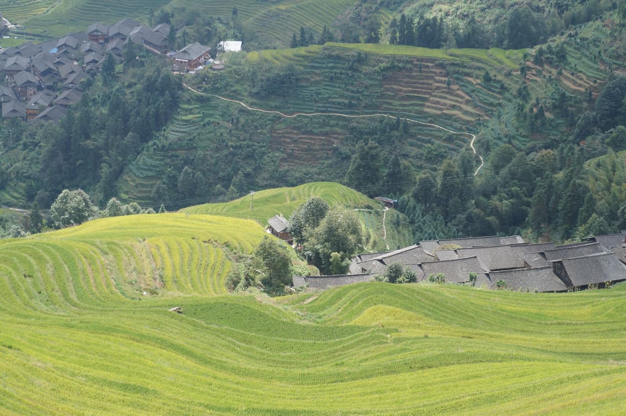 Longji Rice Terraces