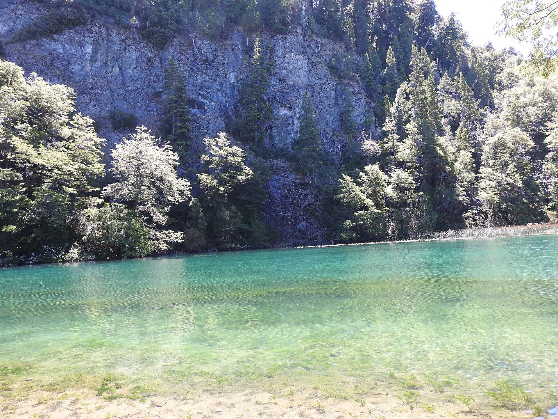 Los Alerces National Park, Esquel